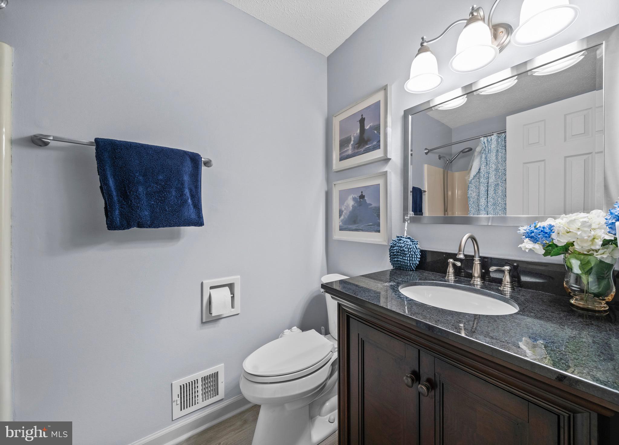 26599 Yowaiski Mill Road Mechanicsville, MD 20659 - Photo 28 of 58 a bathroom with a toilet a sink and mirror