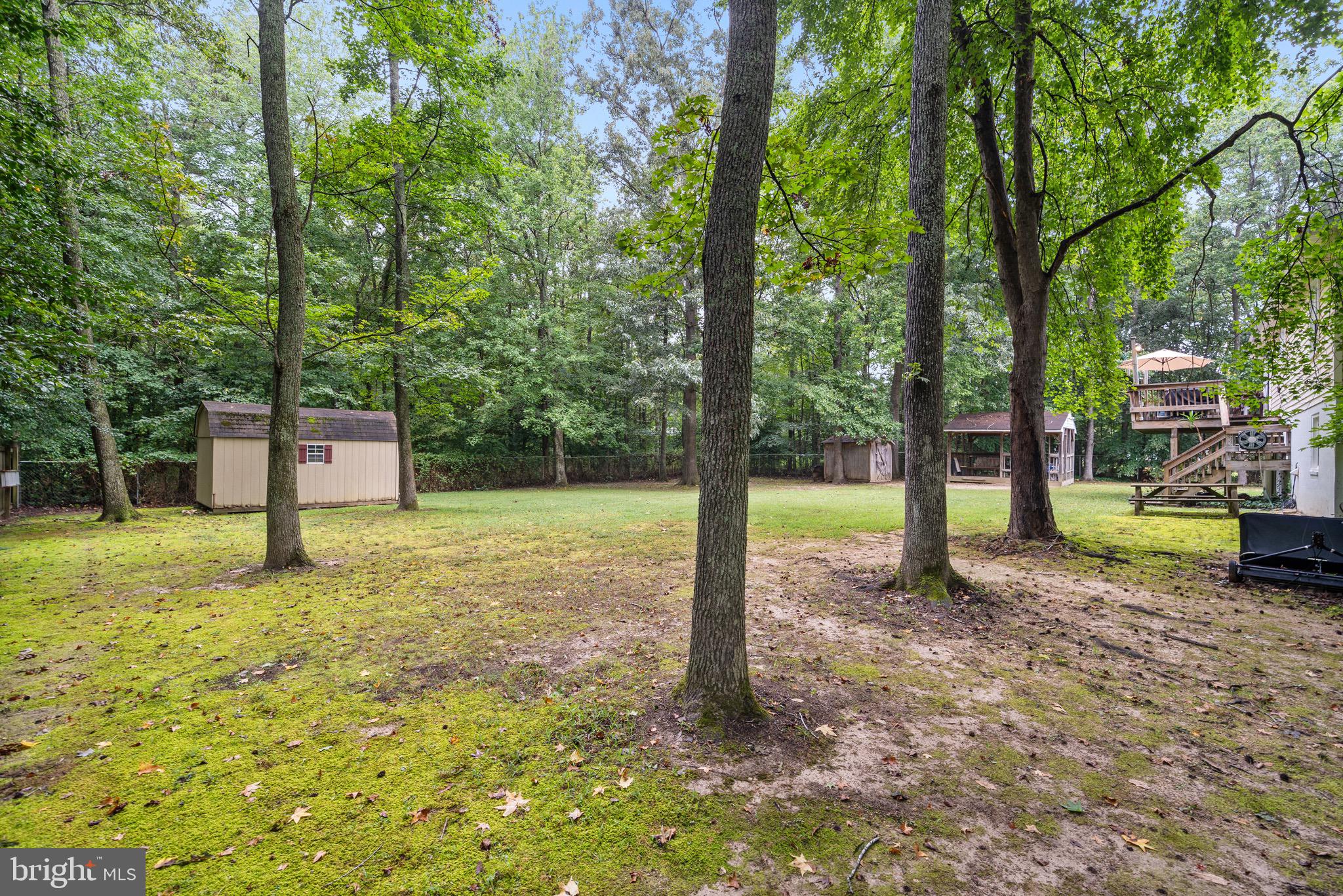 26599 Yowaiski Mill Road Mechanicsville, MD 20659 - Photo 45 of 58 a view of a yard with a tree