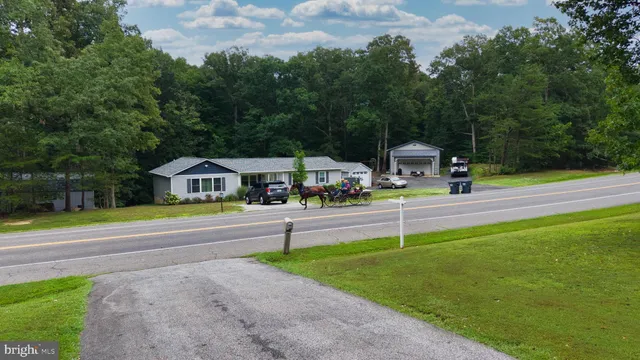 a view of a garden with plants and large trees