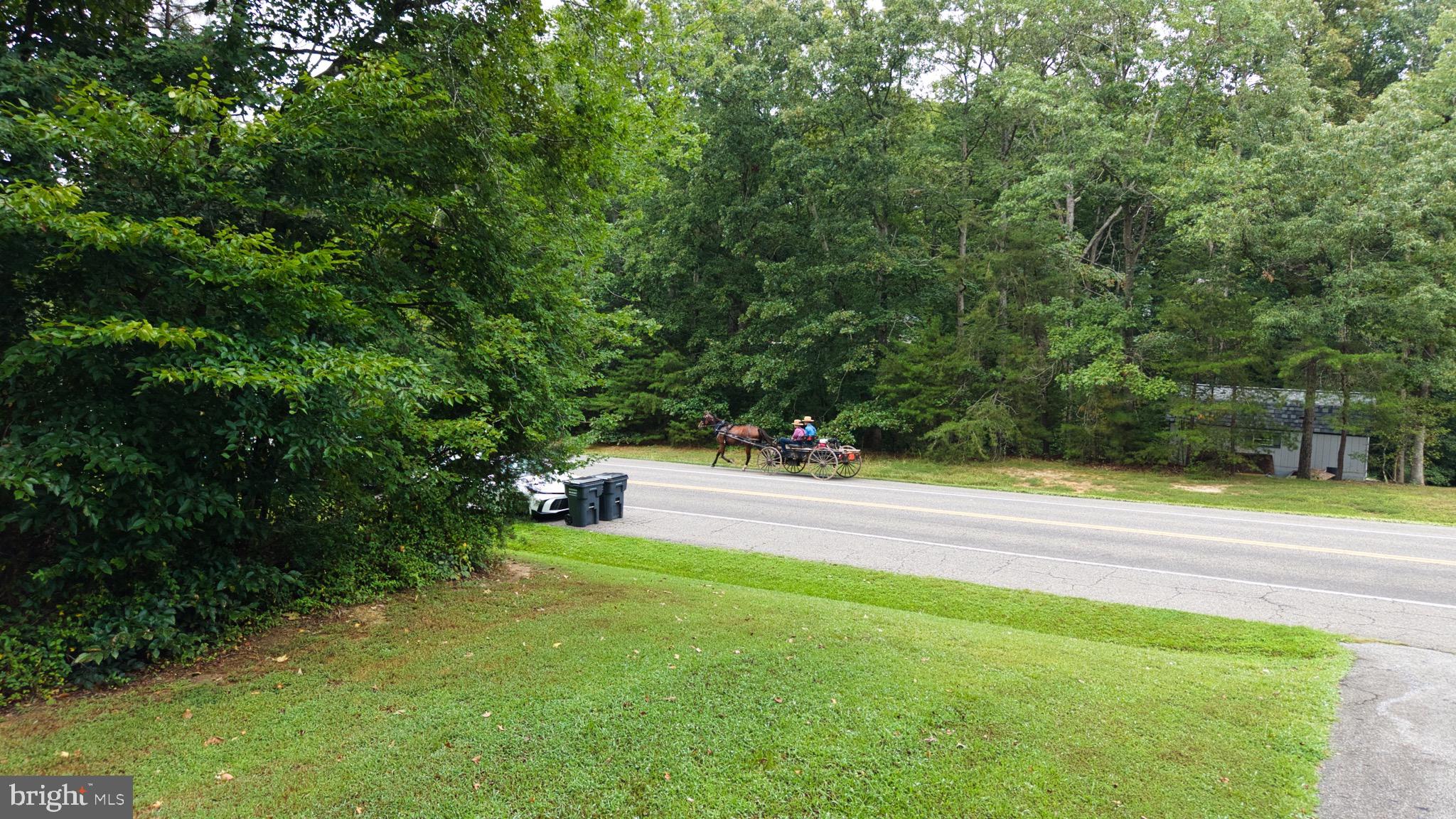 26599 Yowaiski Mill Road Mechanicsville, MD 20659 - Photo 51 of 58 a view of a yard with a large trees