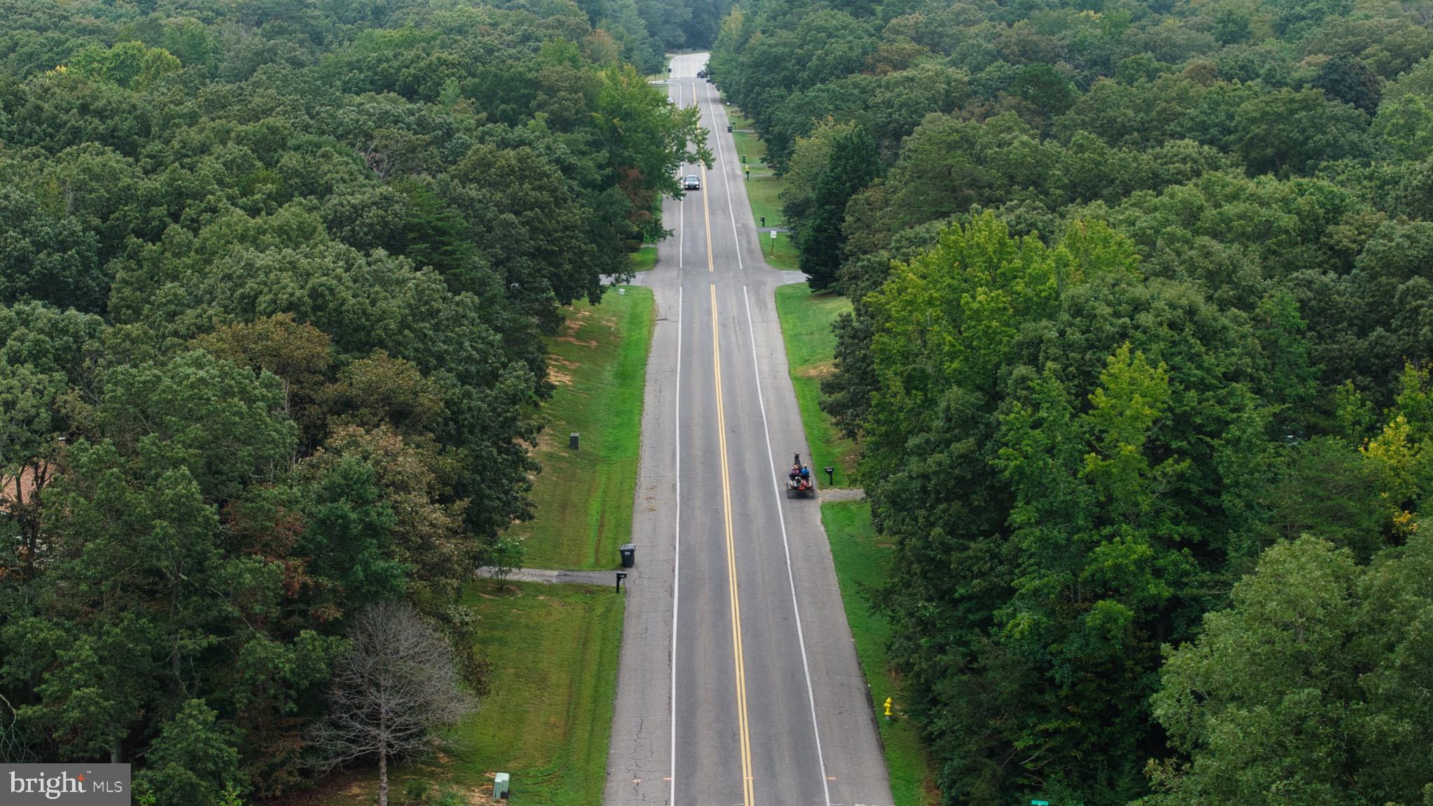 26599 Yowaiski Mill Road Mechanicsville, MD 20659 - Photo 52 of 58 a view of a with large trees