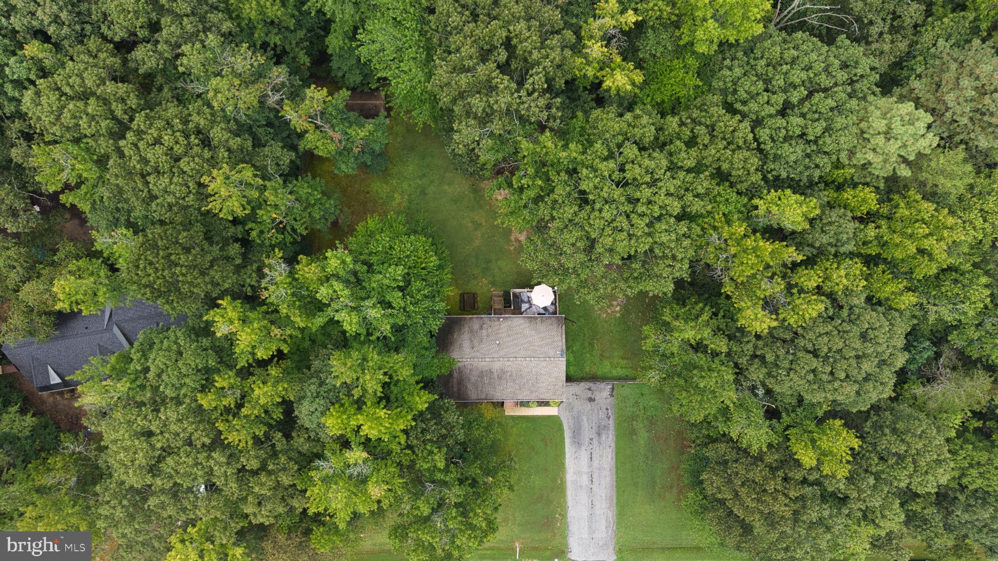 26599 Yowaiski Mill Road Mechanicsville, MD 20659 - Photo 54 of 58 a view of a garden with plants and large trees