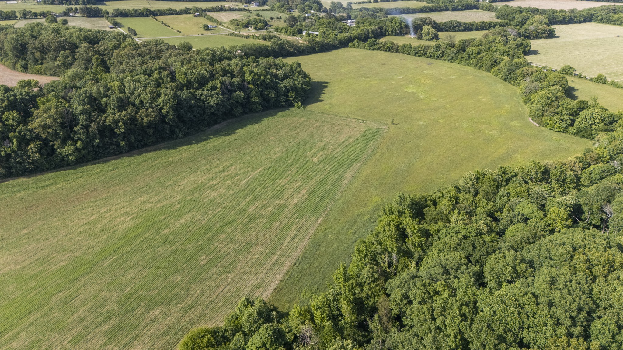 0 Norwood Creek Road Winchester, TN 37398 - Photo 12 of 18