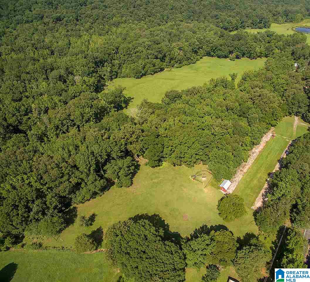 3330 Highway 174 Springville, AL 35146 - Photo 1 of 21