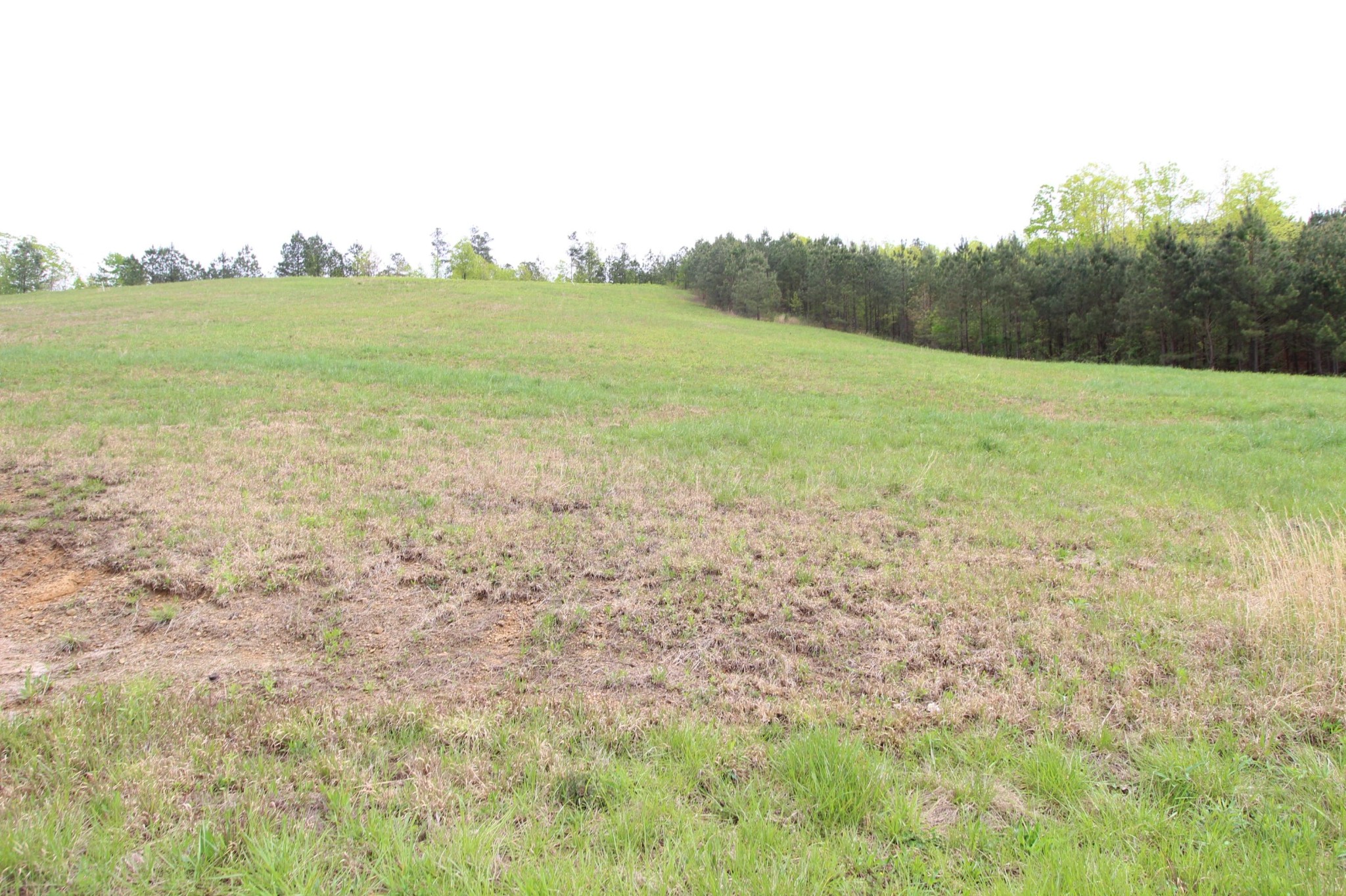 10 Northwest Van Davis Road Charleston, TN 37310 - Photo 3 of 5