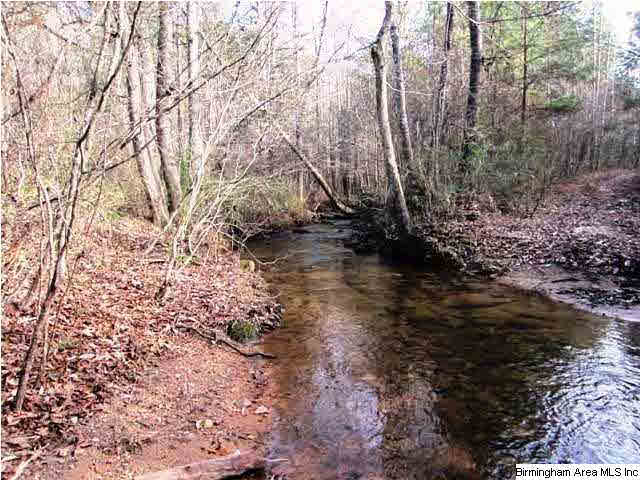 Blakes Ferry Road, Unit 80 Lineville, AL 36266 - Photo 4 of 8