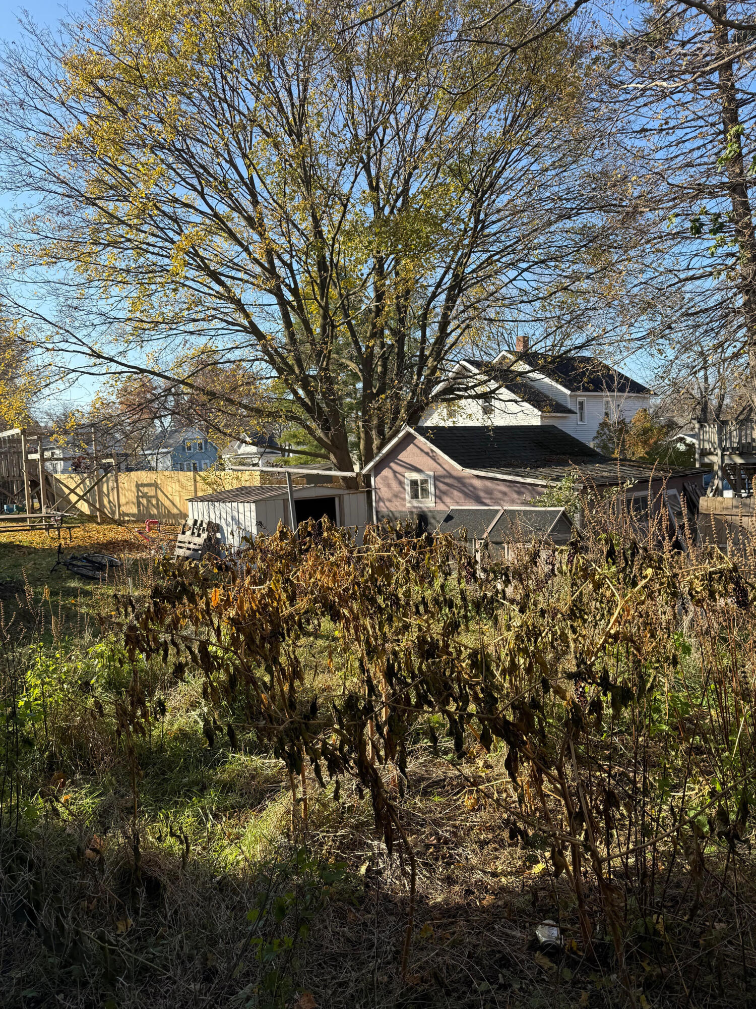 Undisclosed Address Manistee, MI 49660 - Photo 6 of 7 Backyard
