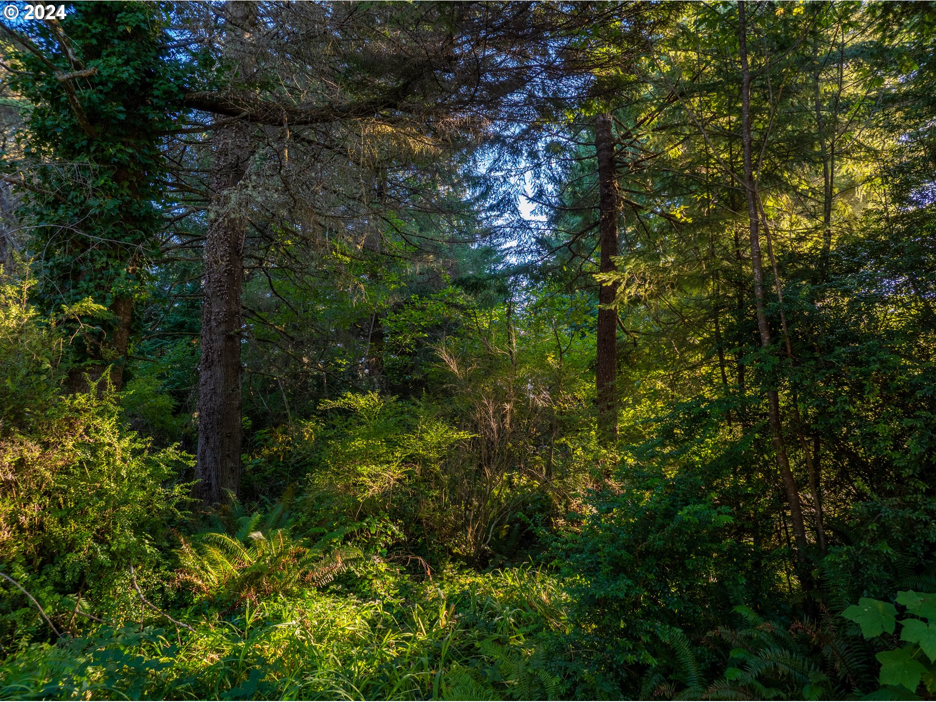 9th Street Northeast, Unit 710 Bandon, OR 97411 - Photo 4 of 9