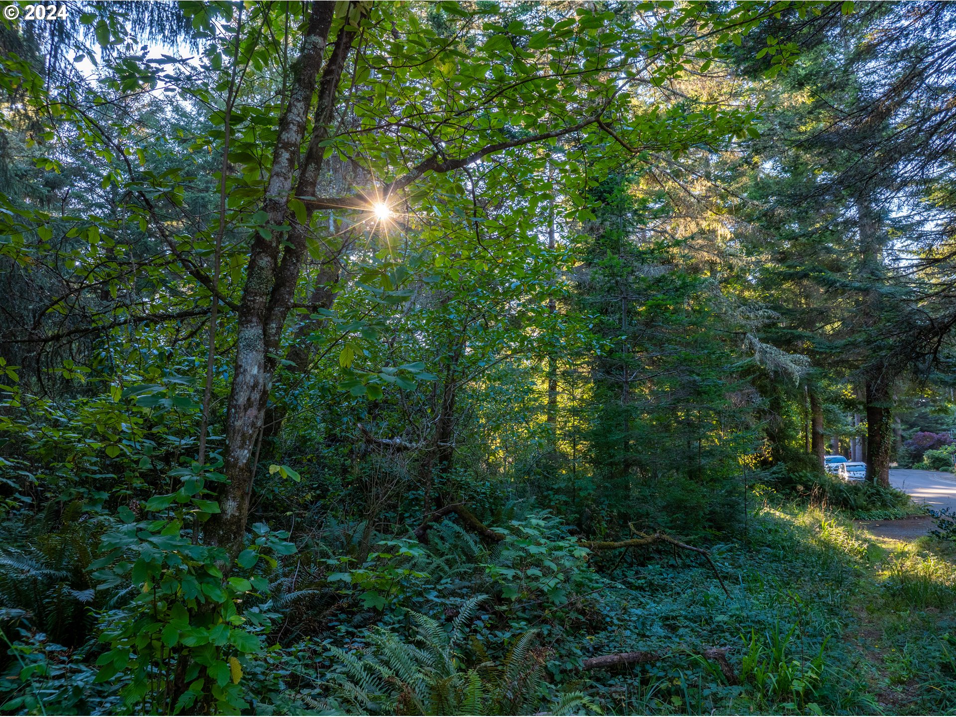 9th Street Northeast, Unit 710 Bandon, OR 97411 - Photo 7 of 9