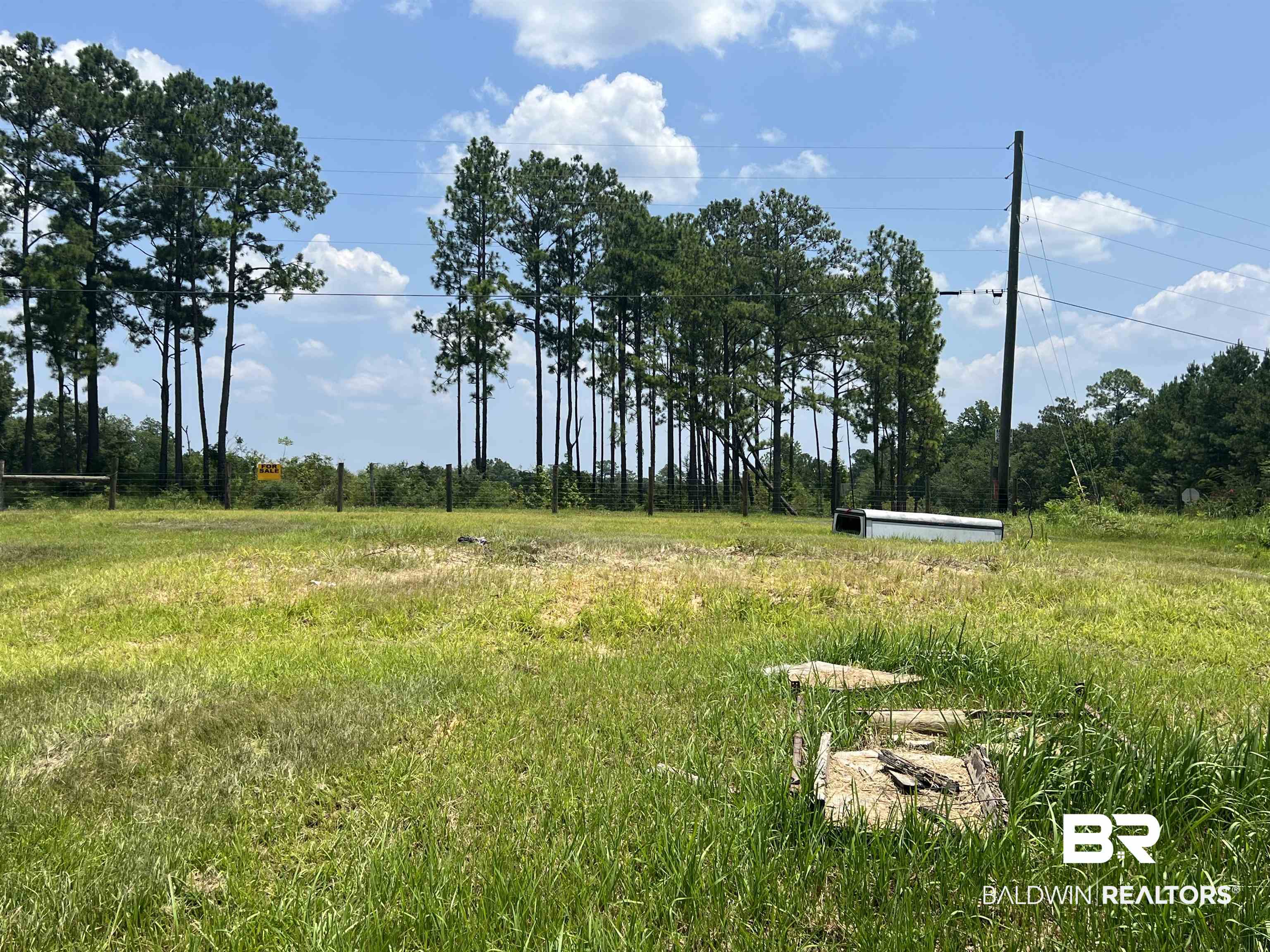 0 Beverly Jefferies Highway Citronelle, AL 36522 - Photo 10 of 19
