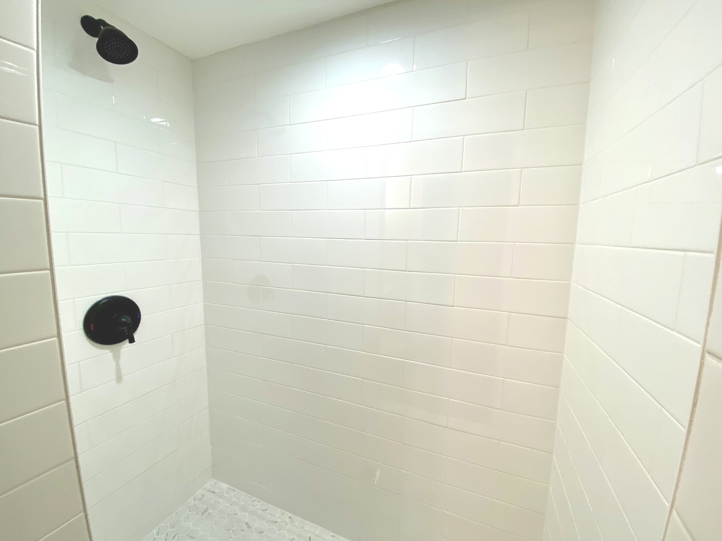 Undisclosed Address Chicago, IL 60619 - Photo 38 of 39 a bathroom with a shower