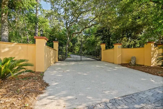 a view of a yard with trees