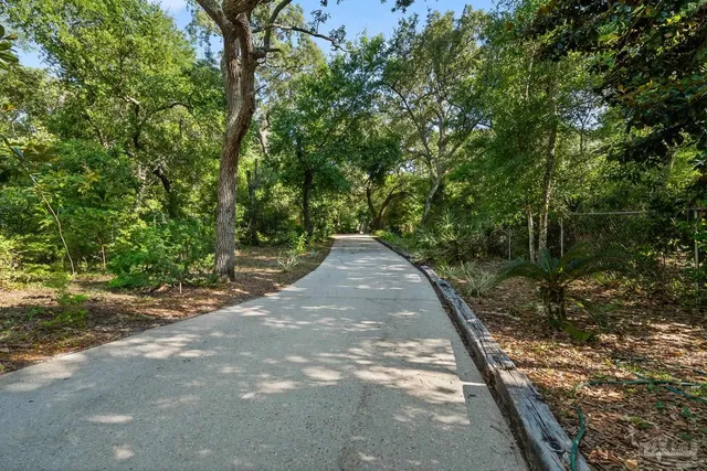 a view of a backyard