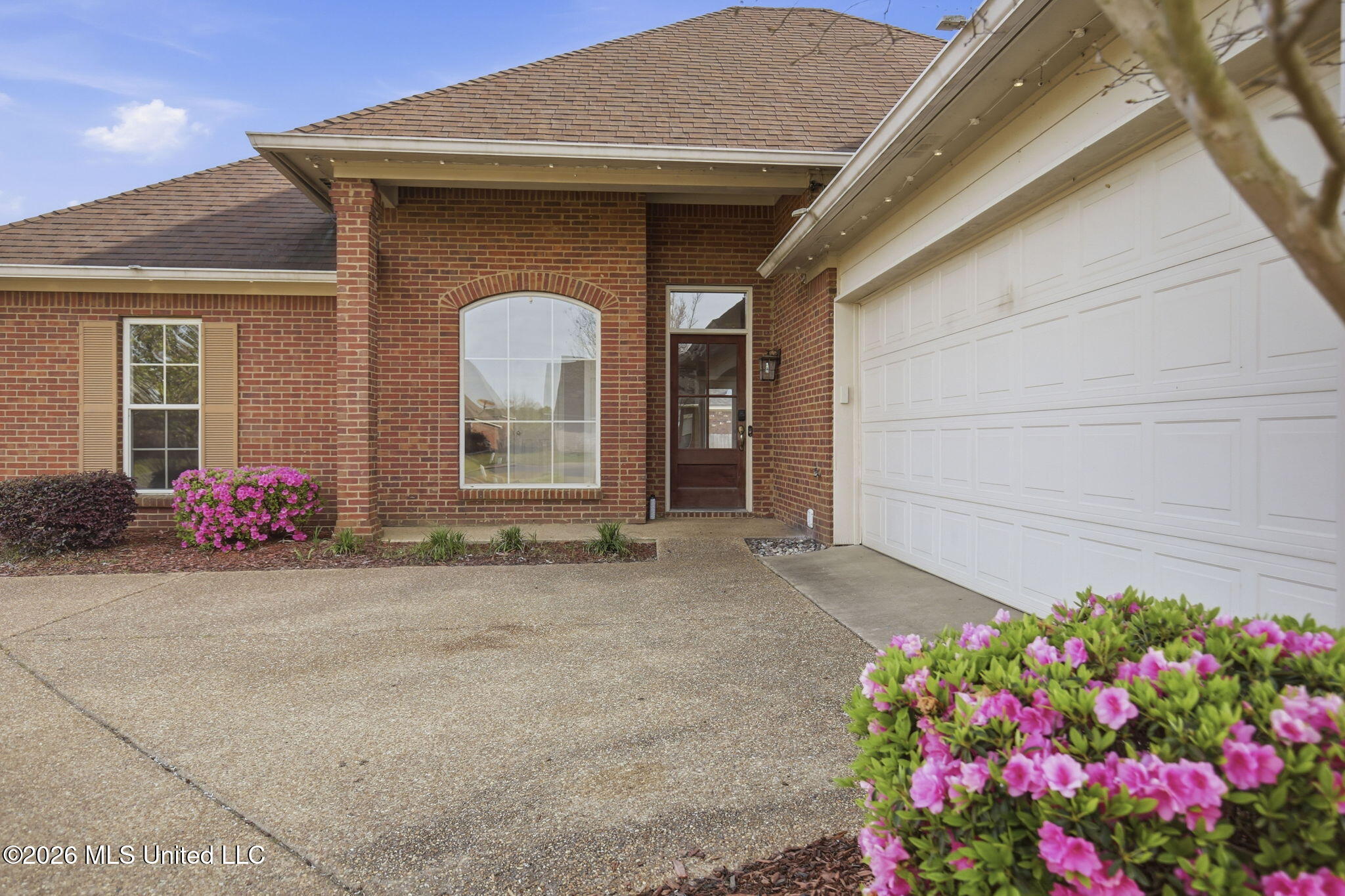 306 Red Cedar Drive Brandon, MS 39047 - Photo 5 of 46 5-web-or-mls-306 Red Cedar-5