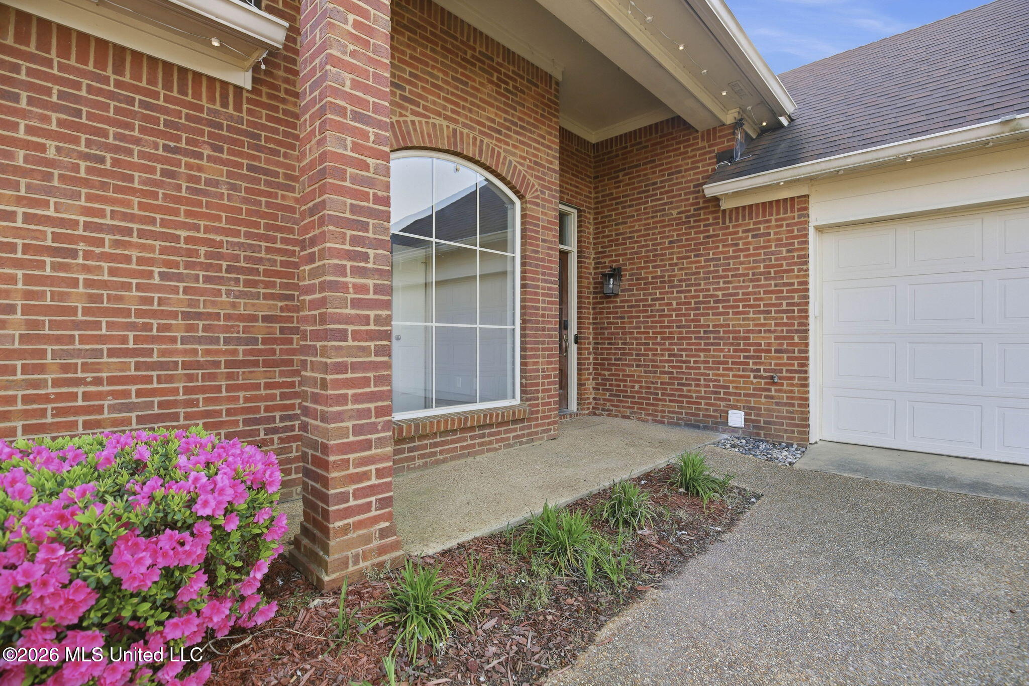 306 Red Cedar Drive Brandon, MS 39047 - Photo 6 of 46 6-web-or-mls-306 Red Cedar-6