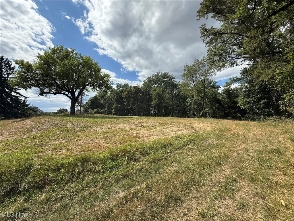 408 East High Street Flushing, OH 43977 - Photo 10 of 13 View of yard