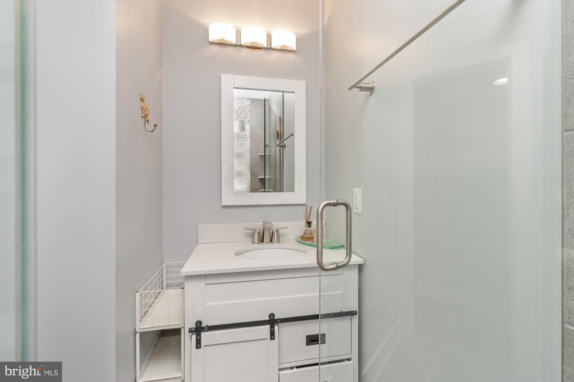 217 East Cross Street Baltimore, MD 21230 - Photo 29 of 50 a bathroom with a sink and a mirror