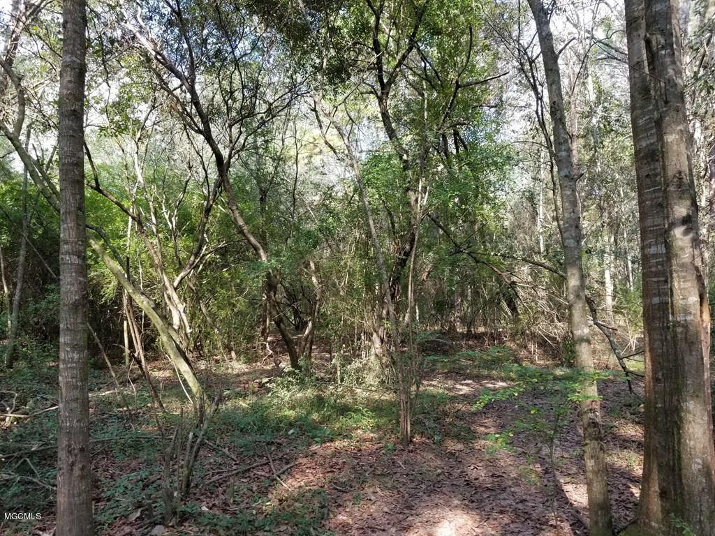 324 Lumpkin Road Carriere, MS 39426 - Photo 11 of 24 174036_7