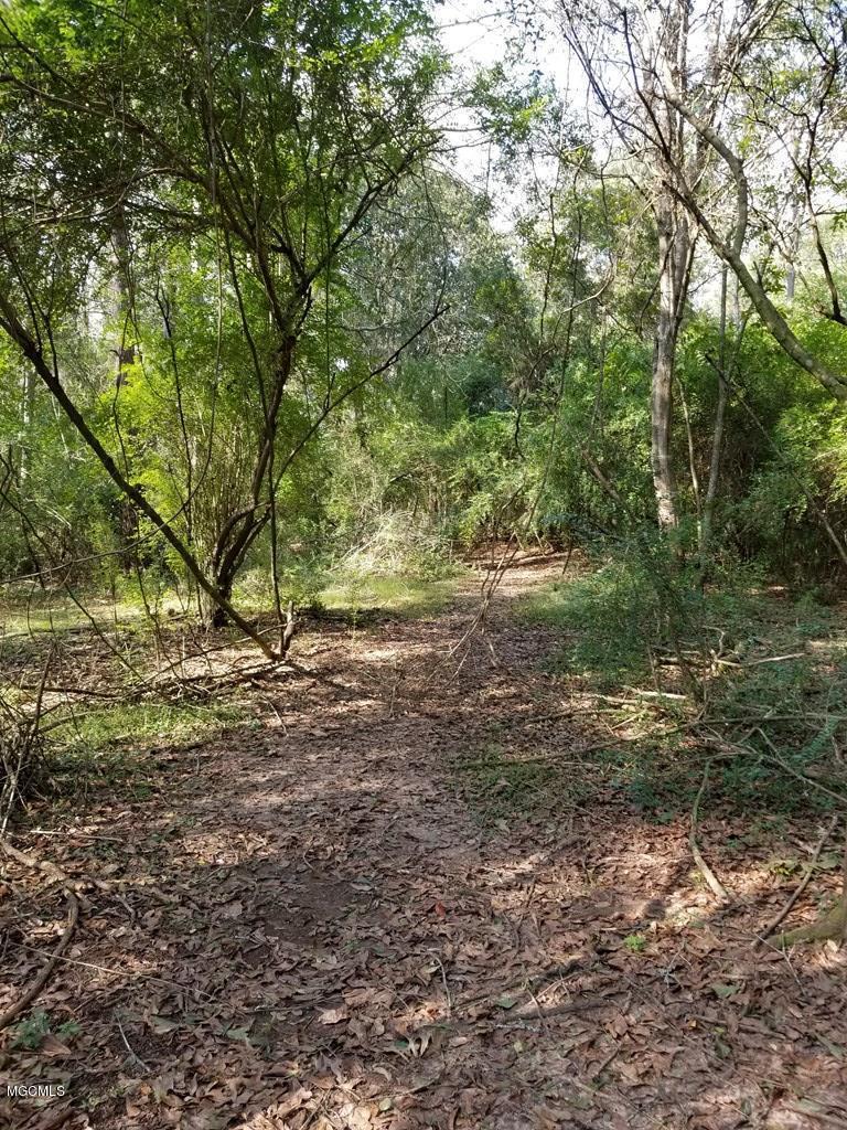 324 Lumpkin Road Carriere, MS 39426 - Photo 12 of 24 174036_3