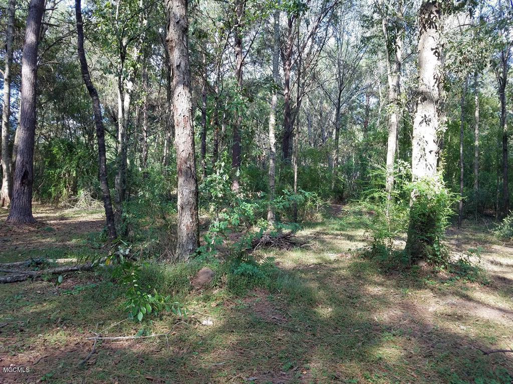 324 Lumpkin Road Carriere, MS 39426 - Photo 14 of 24 174036_24