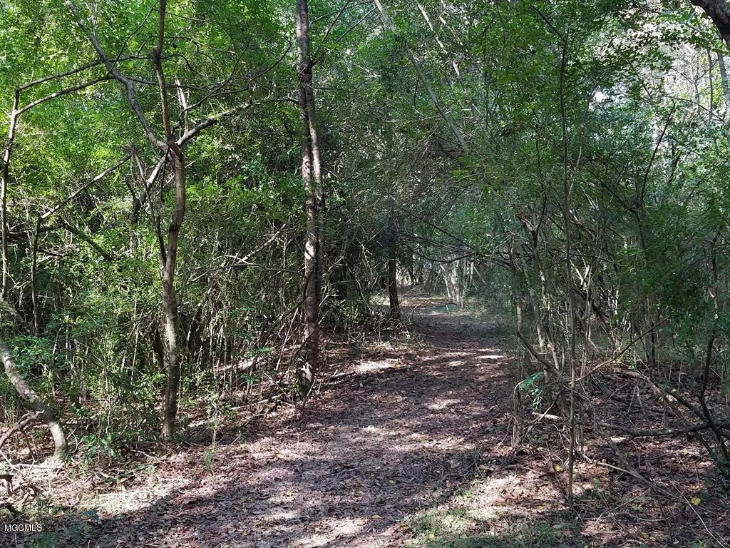 324 Lumpkin Road Carriere, MS 39426 - Photo 15 of 24 174036_25