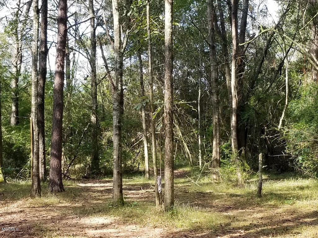 324 Lumpkin Road Carriere, MS 39426 - Photo 3 of 24 174036_15