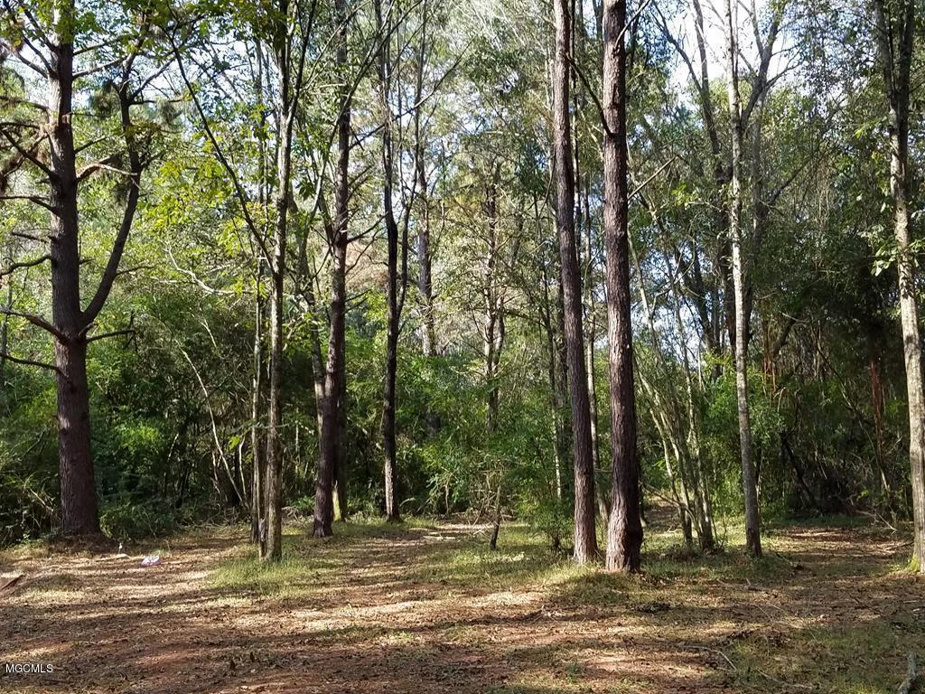 324 Lumpkin Road Carriere, MS 39426 - Photo 4 of 24 174036_26