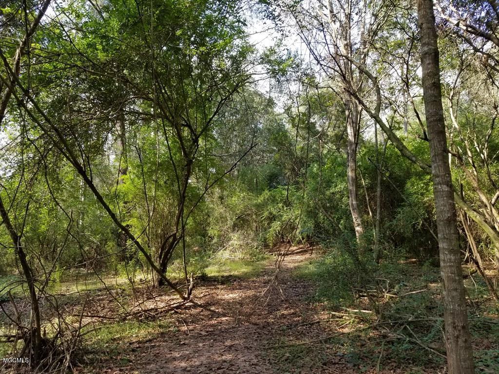 324 Lumpkin Road Carriere, MS 39426 - Photo 6 of 24 174036_8