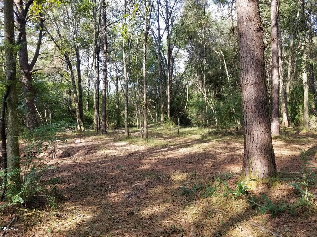 324 Lumpkin Road Carriere, MS 39426 - Photo 7 of 24 174036_14