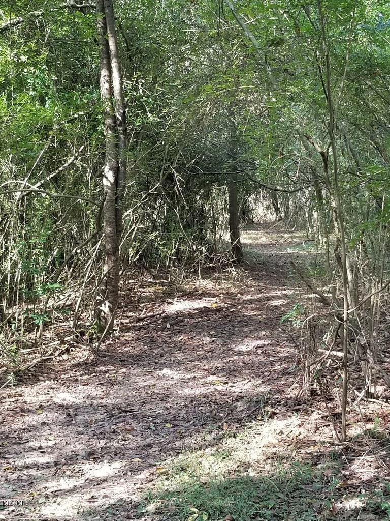 324 Lumpkin Road Carriere, MS 39426 - Photo 9 of 24 174036_16