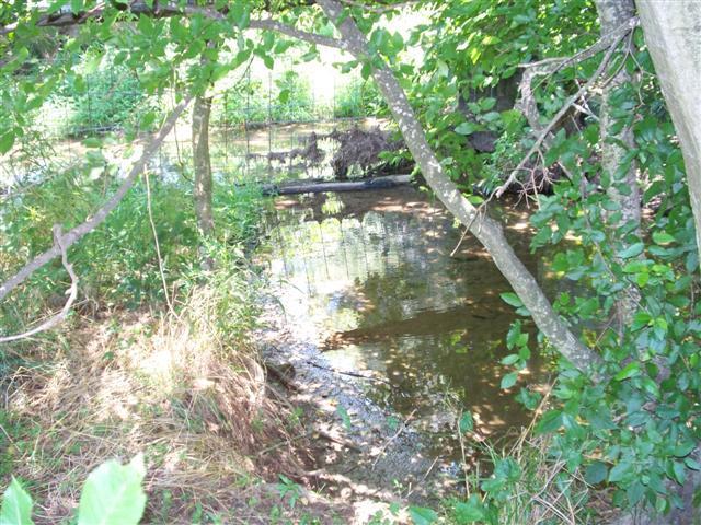 0 County Line Road Shelbyville, TN 37160 - Photo 6 of 10 Gallery Image 6