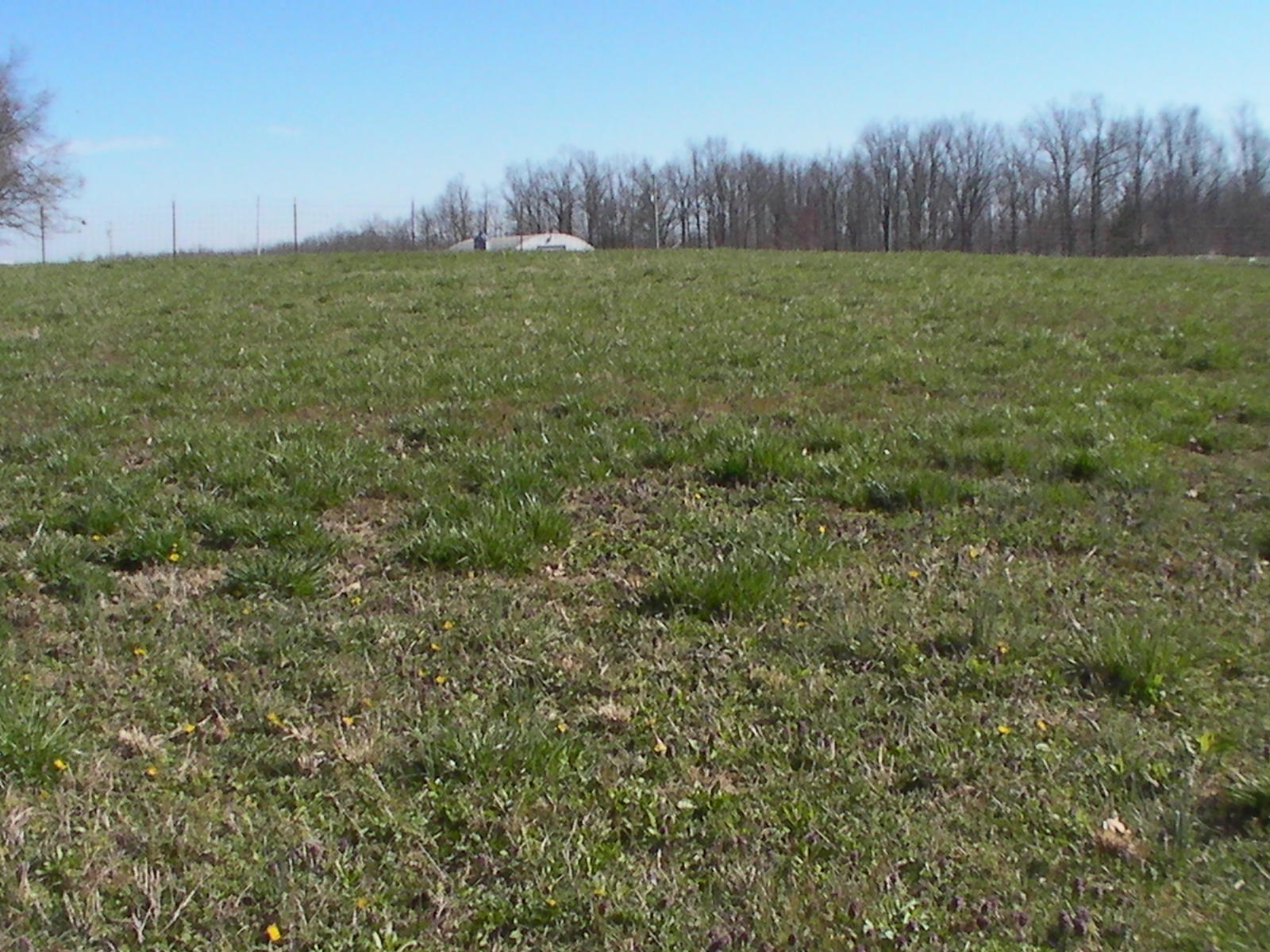 1688 Plateau Road Crossville, TN 38571 - Photo 25 of 39 SANY0030
