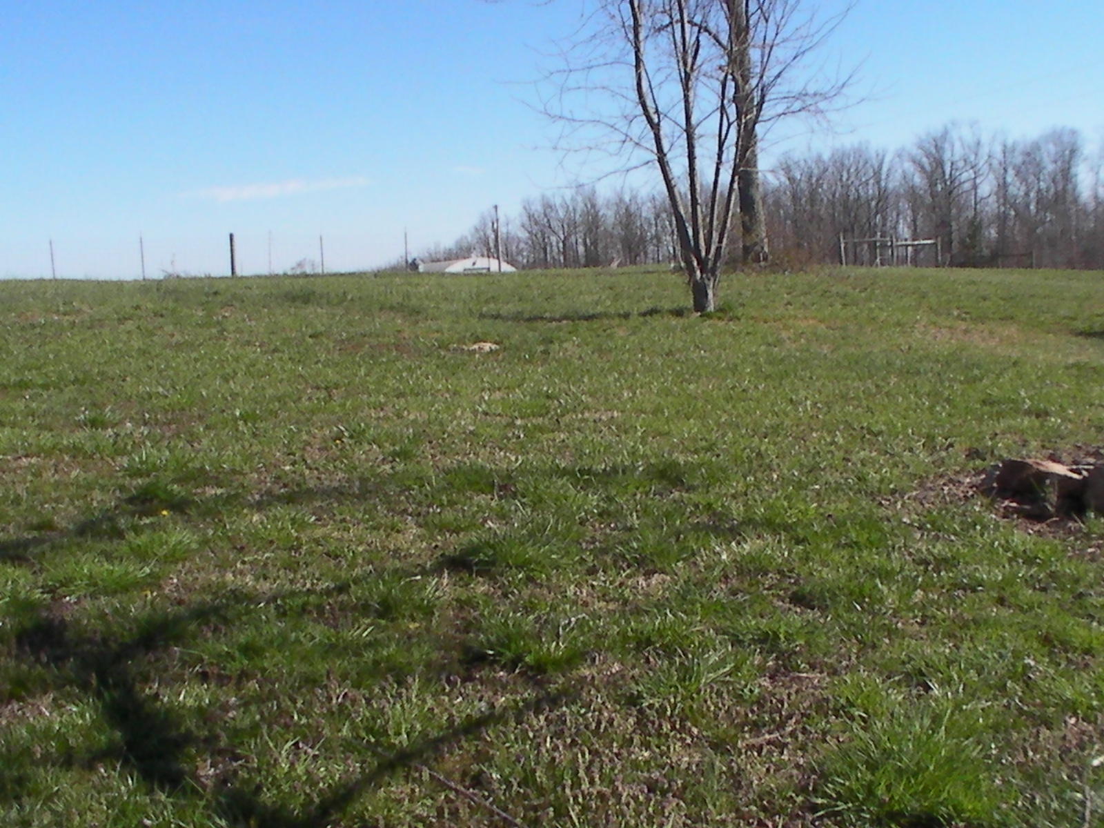 1688 Plateau Road Crossville, TN 38571 - Photo 27 of 39 SANY0032