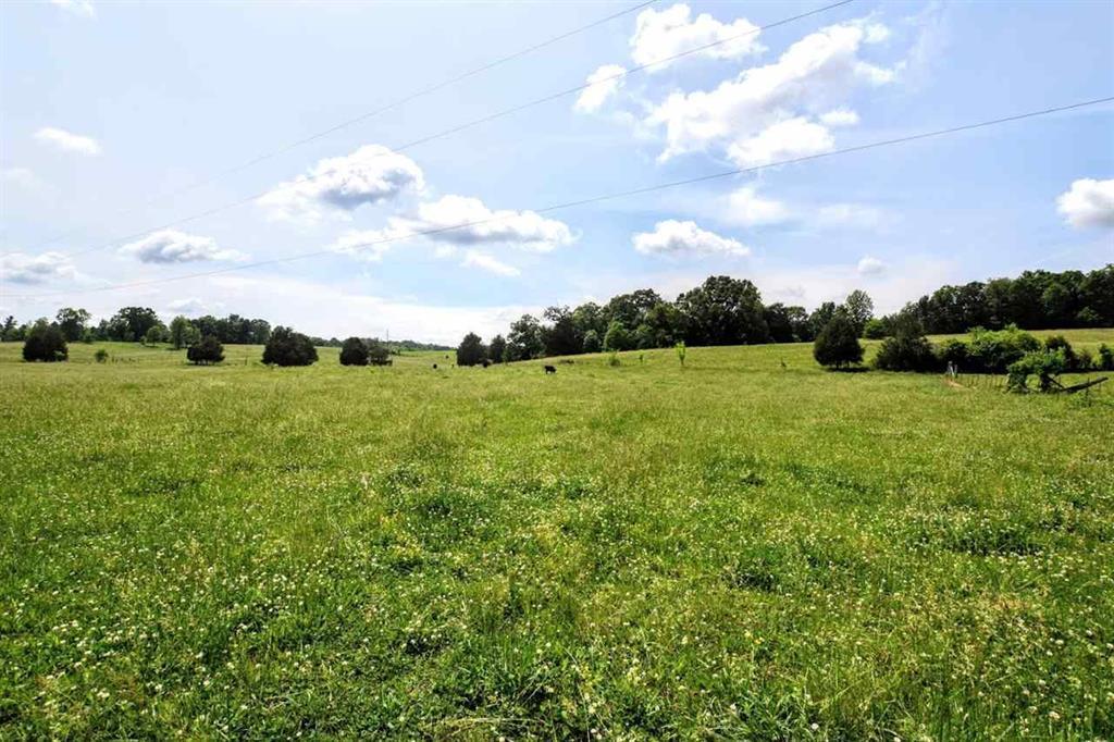 36.5-acres Old Mill Road Dayton, TN 37321 - Photo 1 of 10 20182955
