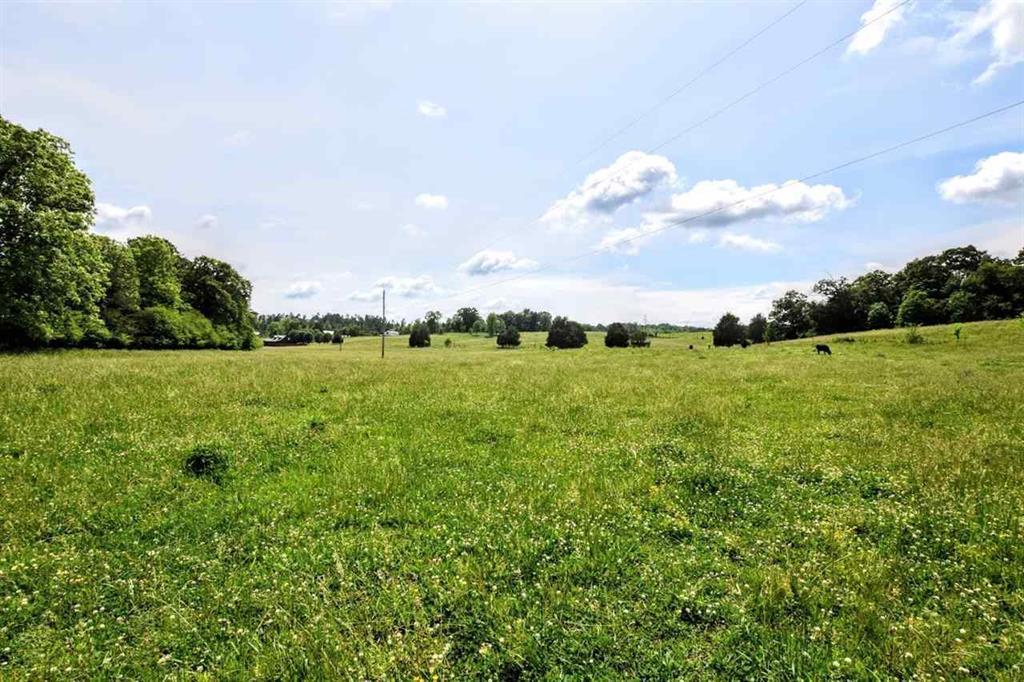 36.5-acres Old Mill Road Dayton, TN 37321 - Photo 2 of 10 20182955-1