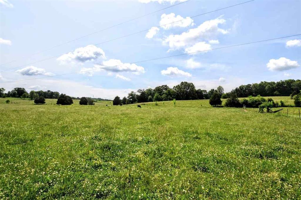 36.5-acres Old Mill Road Dayton, TN 37321 - Photo 4 of 10 20182955-3