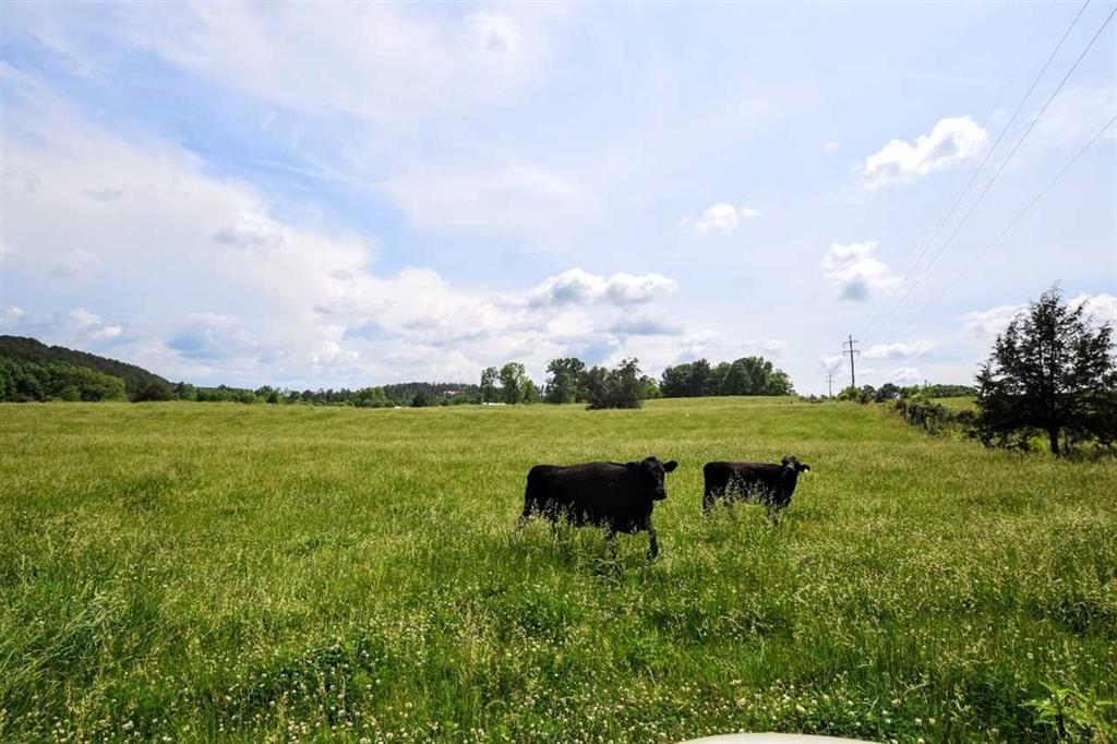 36.5-acres Old Mill Road Dayton, TN 37321 - Photo 6 of 10 20182955-5