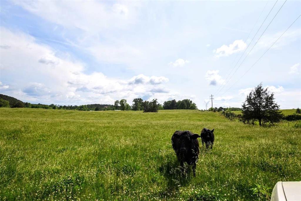36.5-acres Old Mill Road Dayton, TN 37321 - Photo 7 of 10 20182955-6