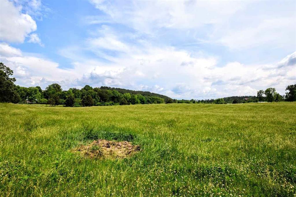 36.5-acres Old Mill Road Dayton, TN 37321 - Photo 8 of 10 20182955-7