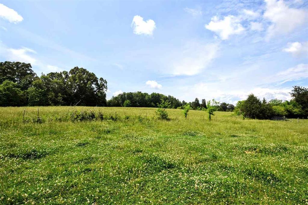 36.5-acres Old Mill Road Dayton, TN 37321 - Photo 9 of 10 20182955-8