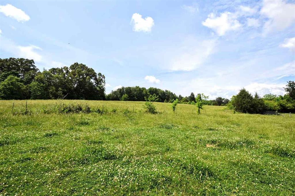 36.5-acres Old Mill Road Dayton, TN 37321 - Photo 10 of 10 20182955-9