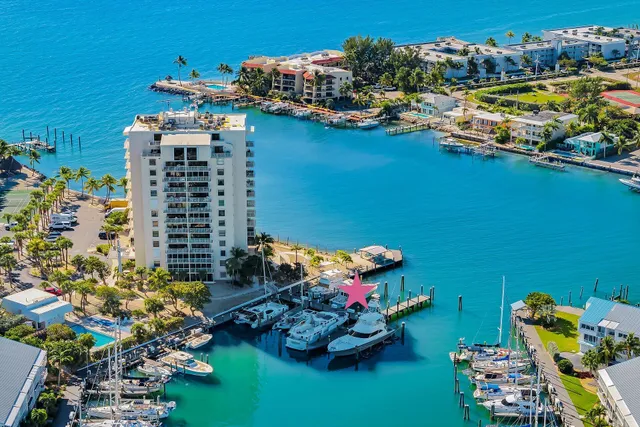 an aerial view of residential houses with outdoor space and swimming pool