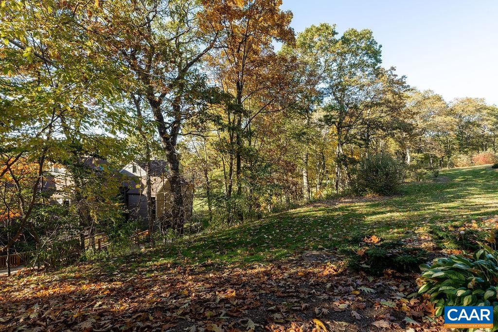2025 Stone Ridge Wintergreen, VA 22967 - Photo 22 of 23 a view of a trees with a yard