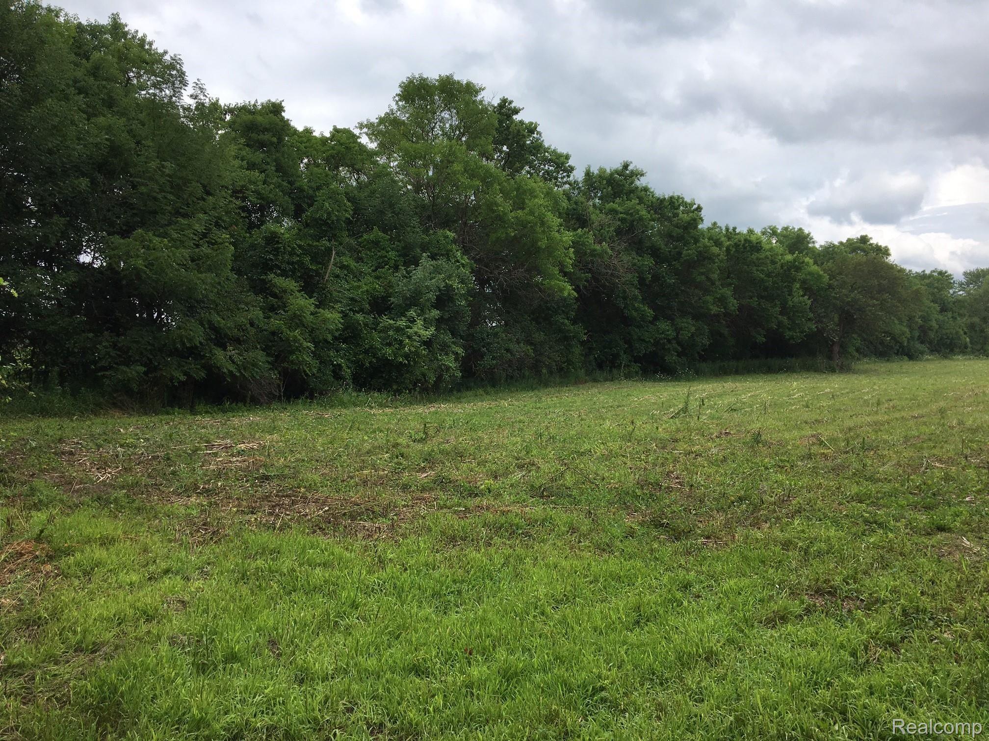 36 36 Mile Road Romeo, MI 48065 - Photo 1 of 1 36Mile1.jpg