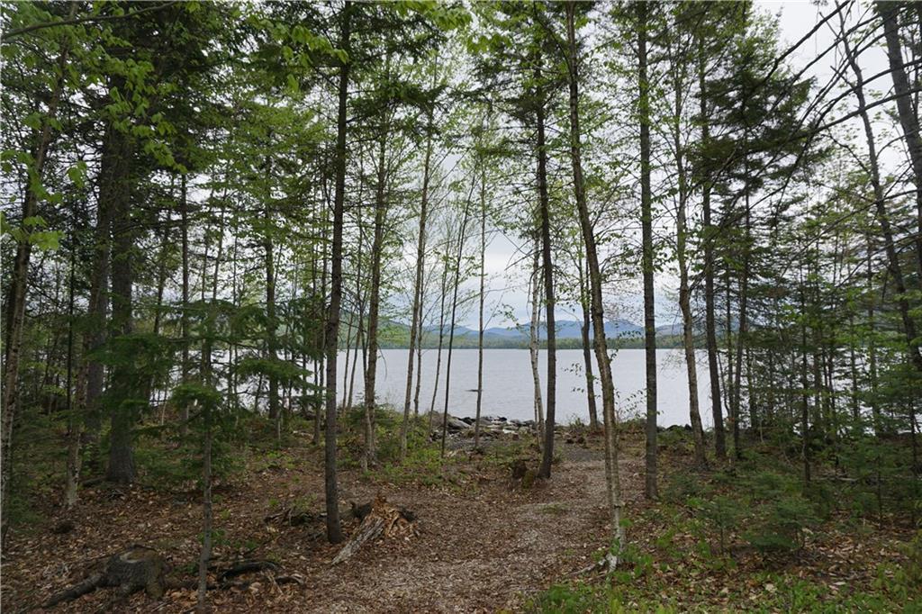 113 Wilson Pond Road Greenville, ME 04441 - Photo 6 of 28 Photo