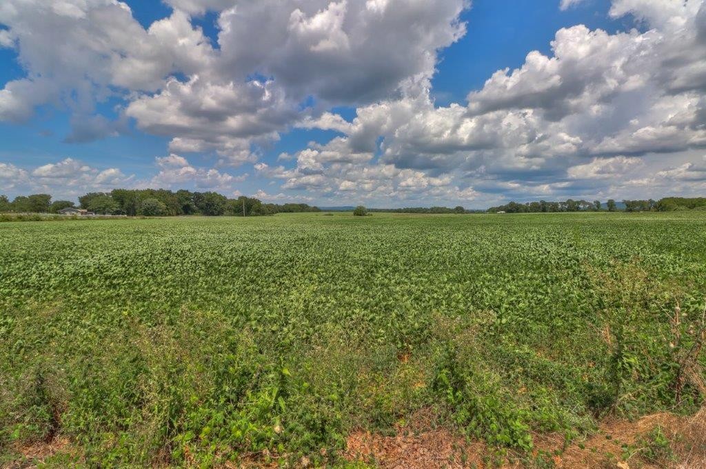 86 Oak Grove Road Decherd, TN 37324 - Photo 23 of 37