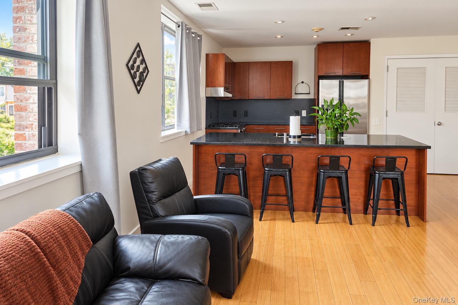 73 Spring Street, Unit 3D Ossining, NY 10562 - Photo 3 of 13 Gallery Image 3