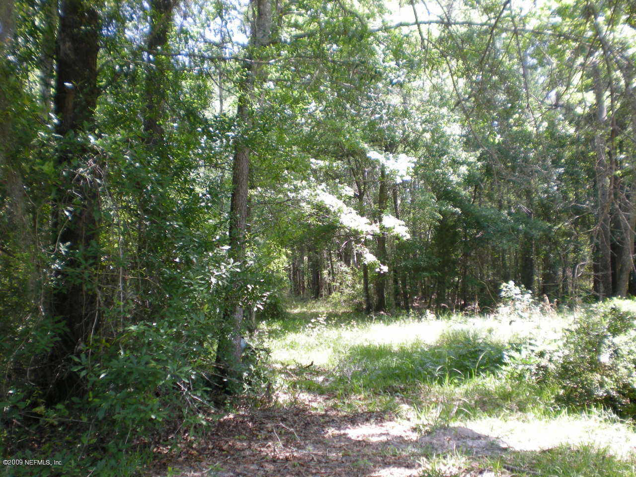 2485 Joe Ashton Road St. Augustine, FL 32092 - Photo 1 of 5 Property from Joe Ashton