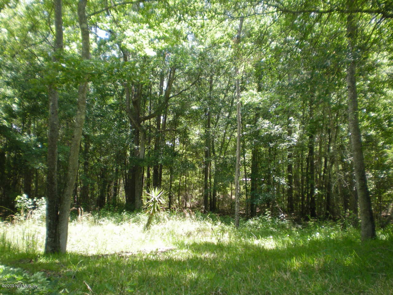 2485 Joe Ashton Road St. Augustine, FL 32092 - Photo 4 of 5 Land