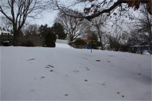 30 Dutton Street Worcester, MA 01610 - Photo 5 of 26 Gallery Image 5
